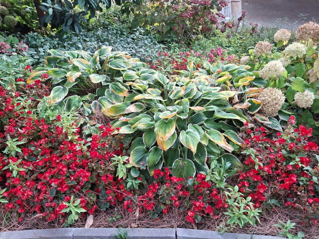 Гостиница Атлантида Ялта-220