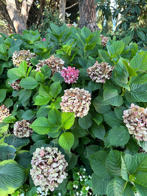 Гостиница Атлантида Ялта-172