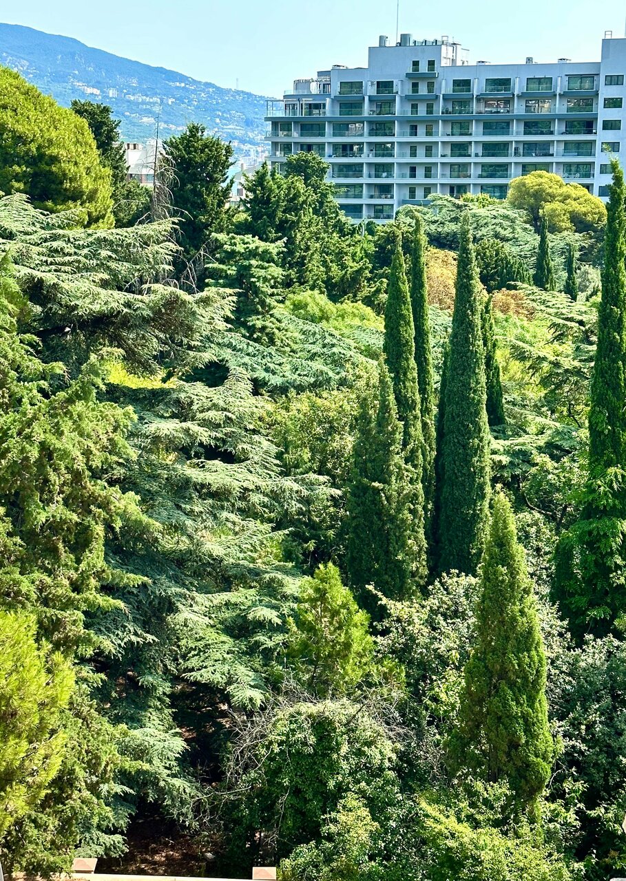 Гостиница Атлантида Ялта-207