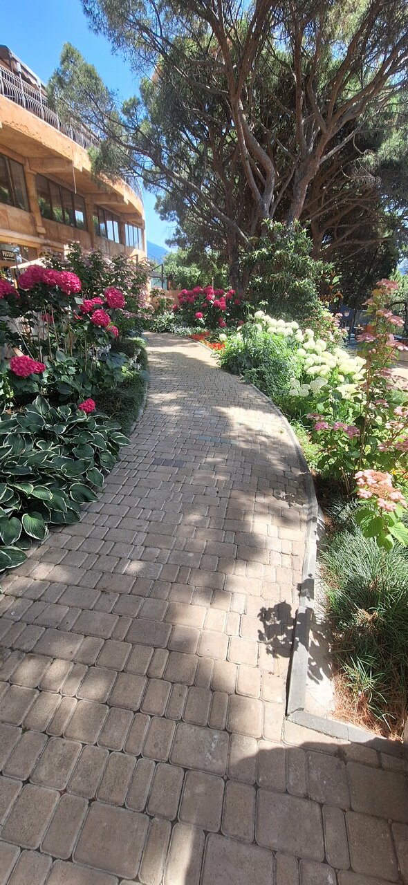 Гостиница Атлантида Ялта-215