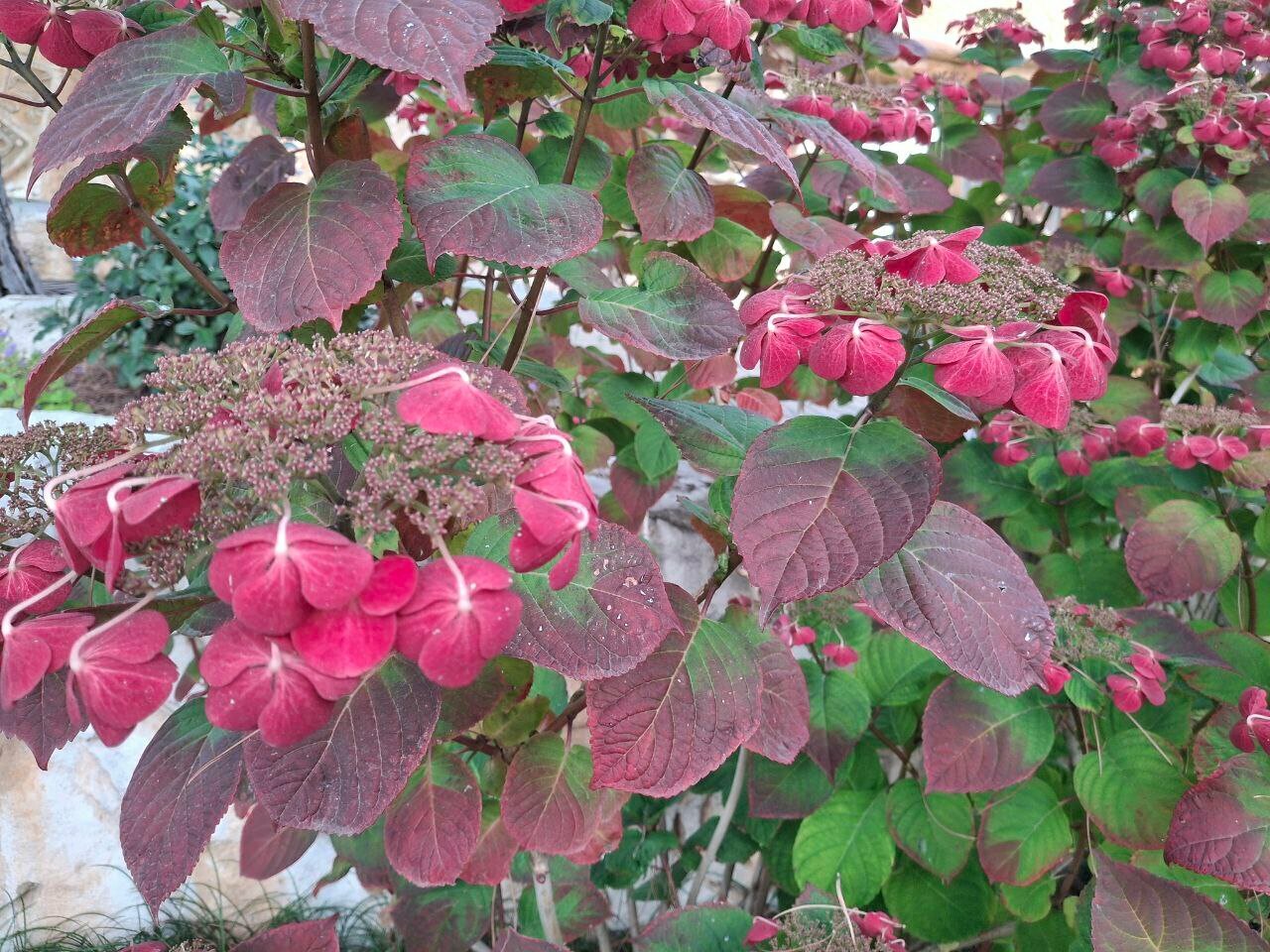 Гостиница Атлантида Ялта-61