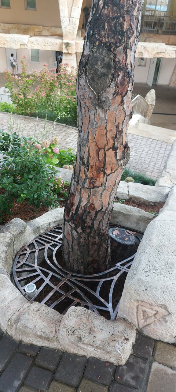 Гостиница Атлантида Ялта-138