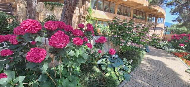 Гостиница Атлантида Ялта-120