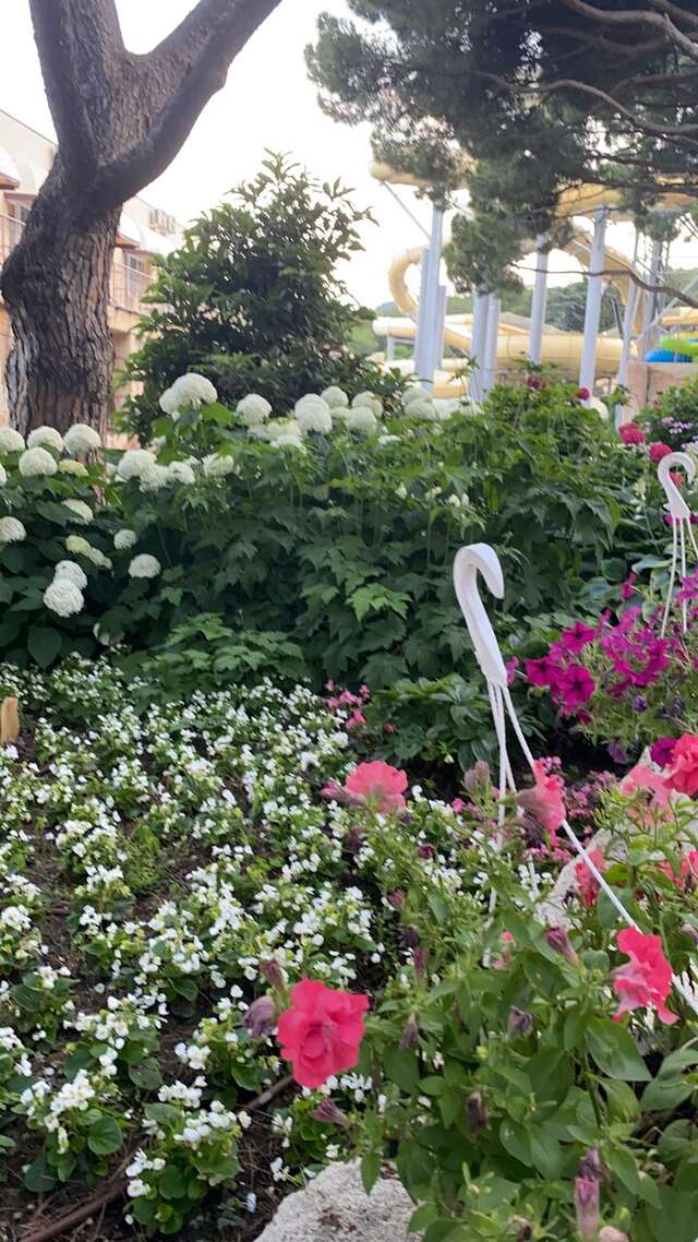 Гостиница Атлантида Ялта-158