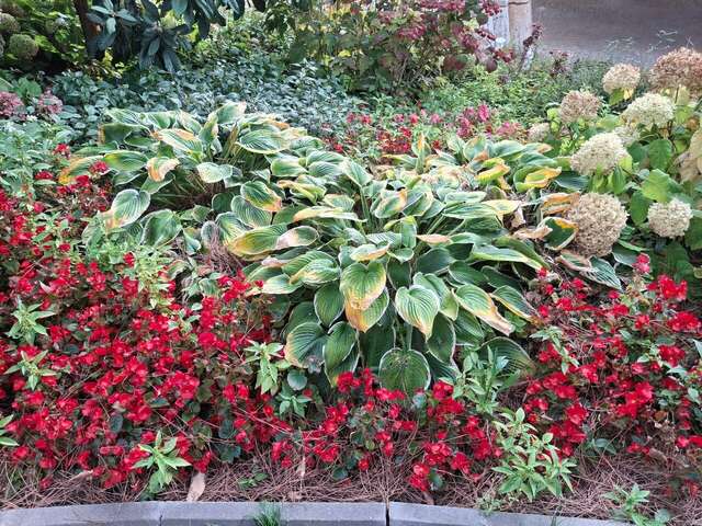 Гостиница Атлантида Ялта-219