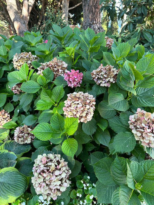 Гостиница Атлантида Ялта-171