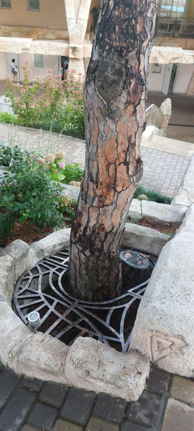 Гостиница Атлантида Ялта-137